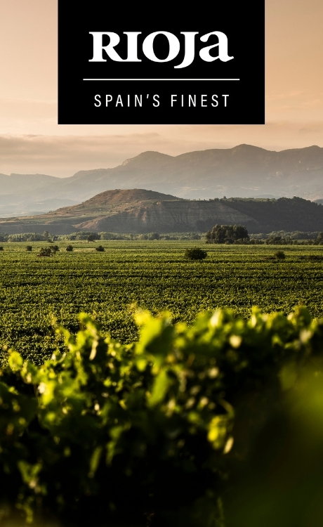 Die Weinregion Rioja