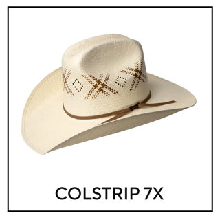 Colstrip 7X 