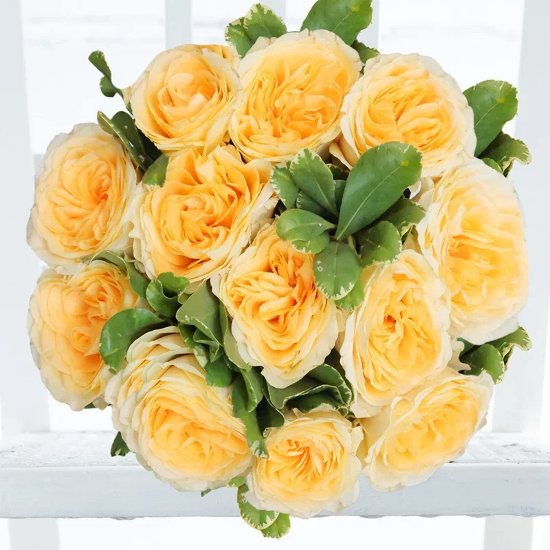 Image of Lemon Garden Roses