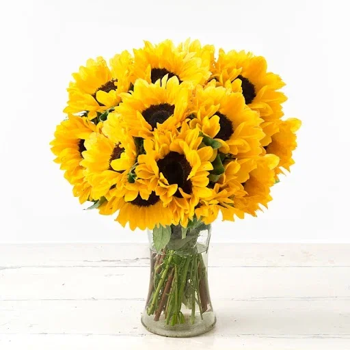 Image of Summer Sunflowers