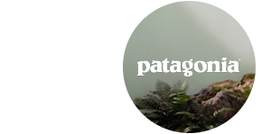 Shop Patagonia - Up To 40% Off