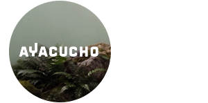 Shop Ayacucho - Up To 40% Off