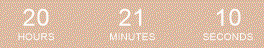 Timer
