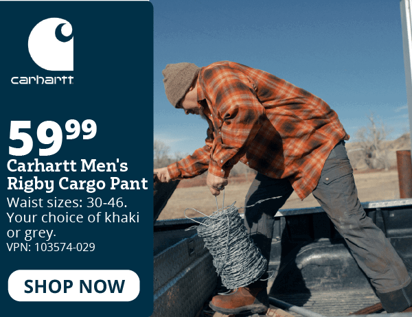carhartt rigby cargo pant