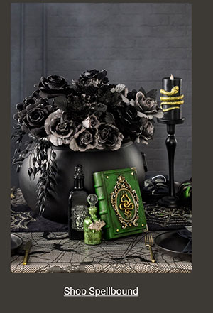 Shop Spellbound >