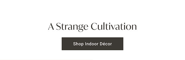 A Strange Cultivation | Shop Indoor Décor >