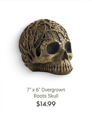 7" x 6" Overgrown Roots Skull
