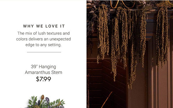 39" Hanging Amaranthus Stem