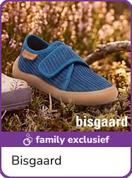 Bisgaard