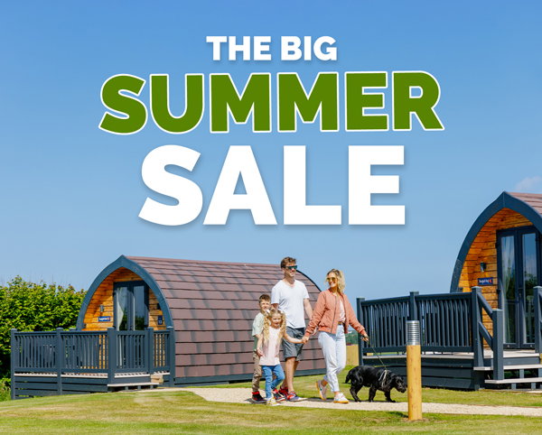 The Big Summer Sale
