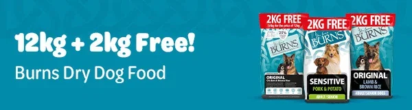 Save on Burns dry dog food!