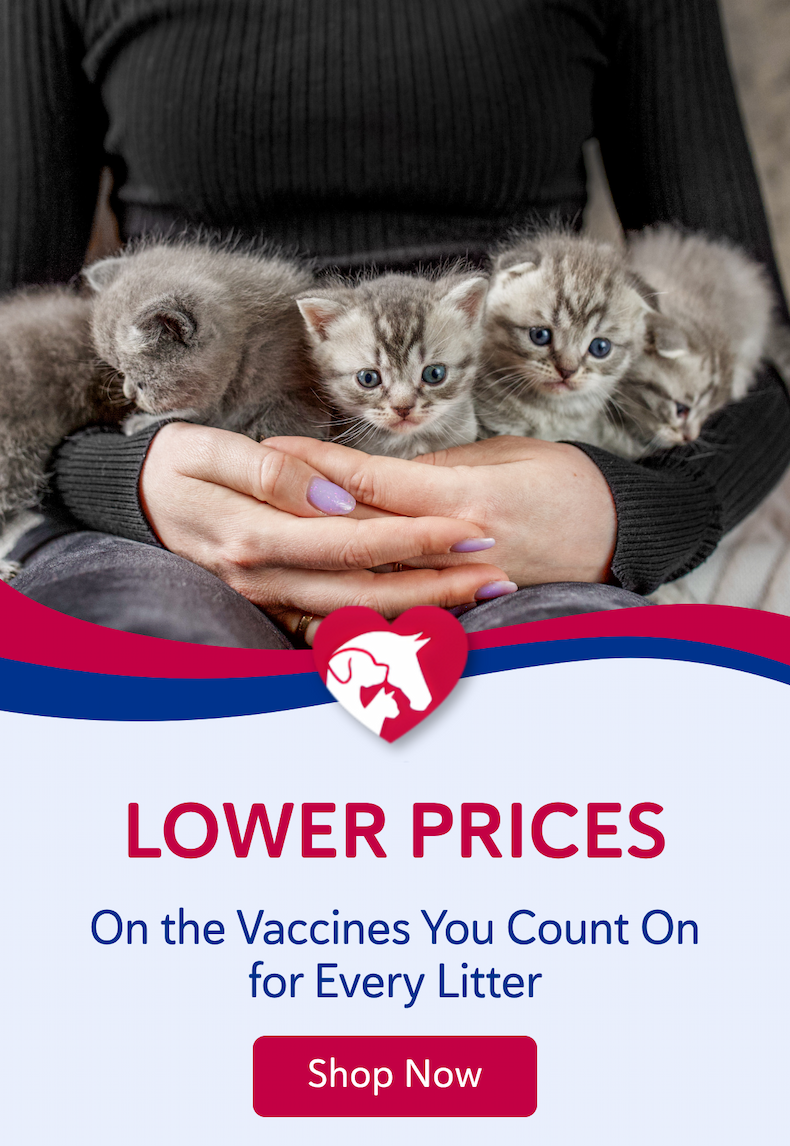 Lower prices on the vaccines you count on for every litter.
