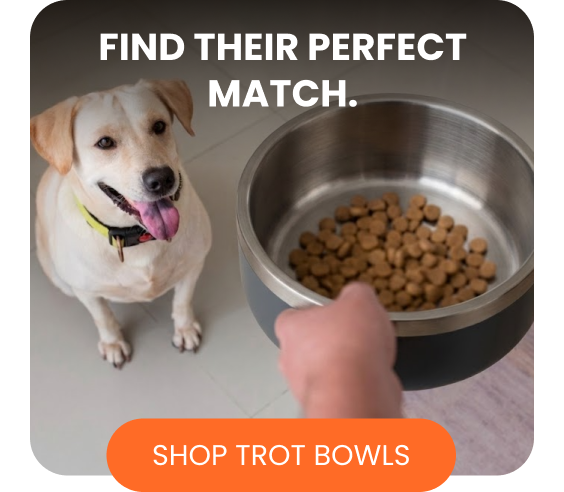 Find their perfect match.