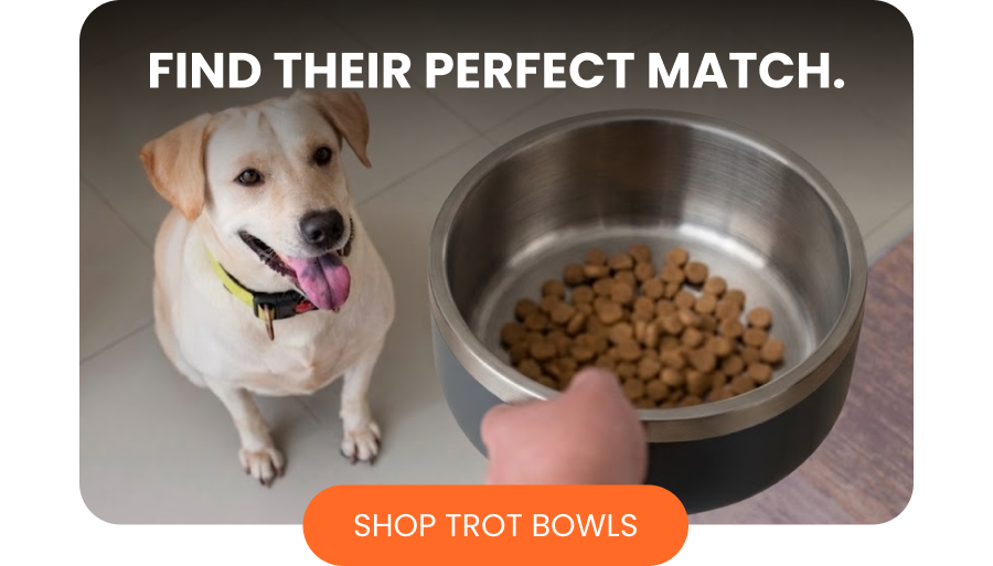 Find their perfect match.