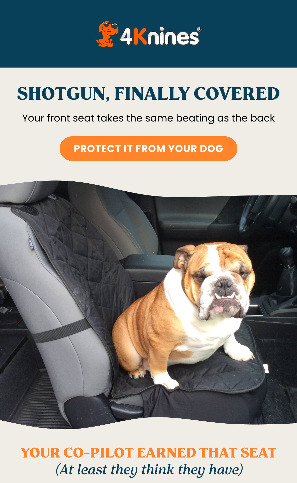 PROTECT IT FROM YOUR DOG