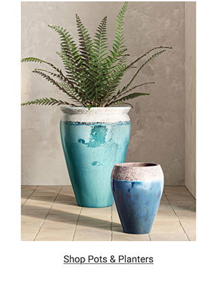 Shop Pots & Planters >