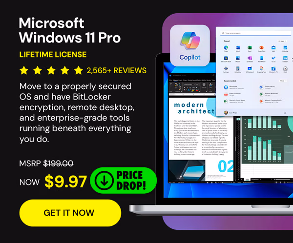 Microsoft Windows 11 Pro