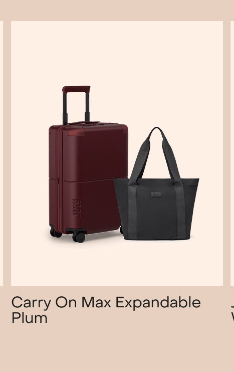 Carry On with CaseSafe Plum