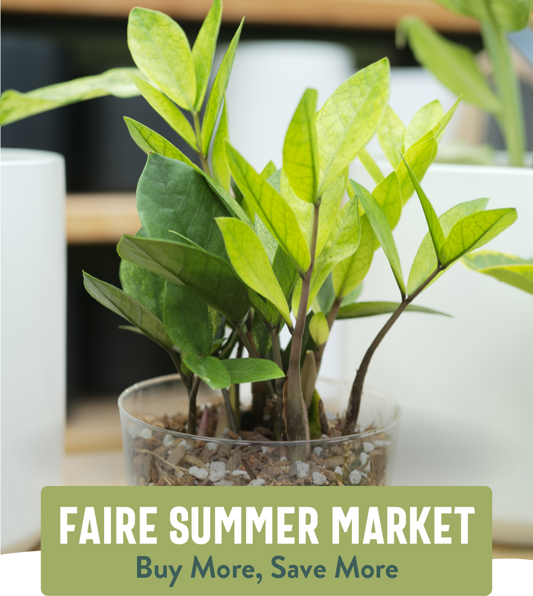 Close-up photo of a bright green ZZ plant in a clear pot, set among white cylindrical planters and wooden shelving. Bold white text at the bottom reads  "FAIRE SUMMER MARKET" and dark green text "Buy More, Save More."