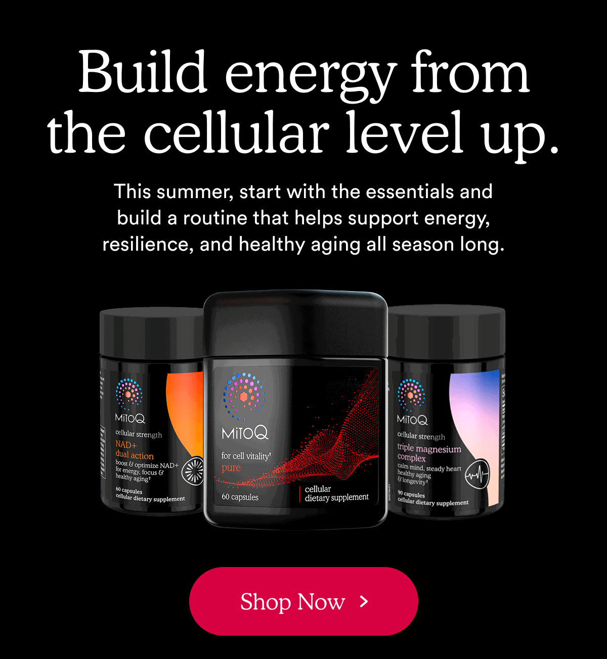 Build energy from the cellular level up. | Shop Now >