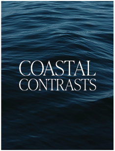 COASTAL CONTRASTS: SHOP THE EDIT