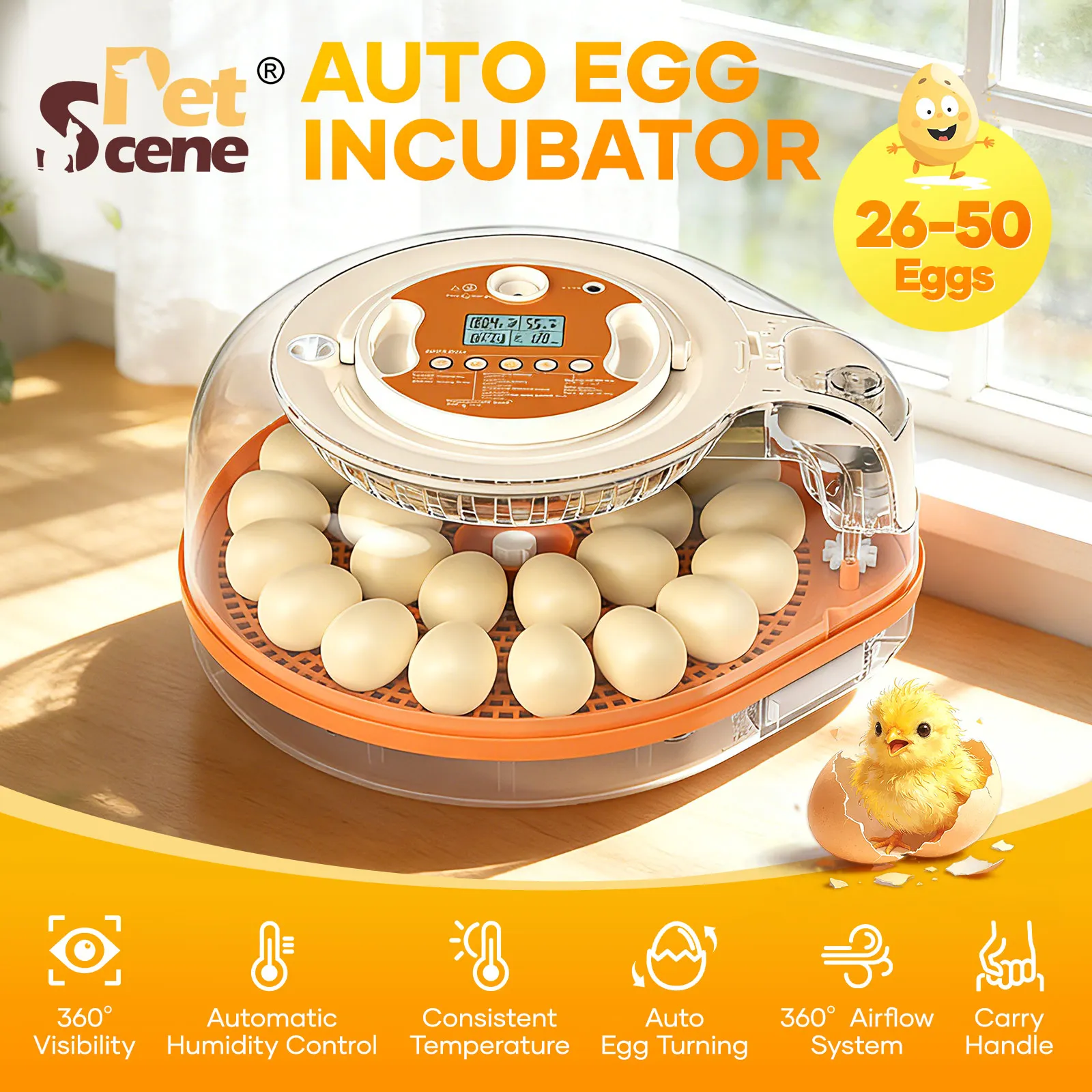 Egg Incubator