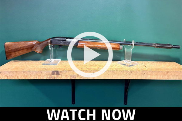 Report: Top Used Guns of June 2026