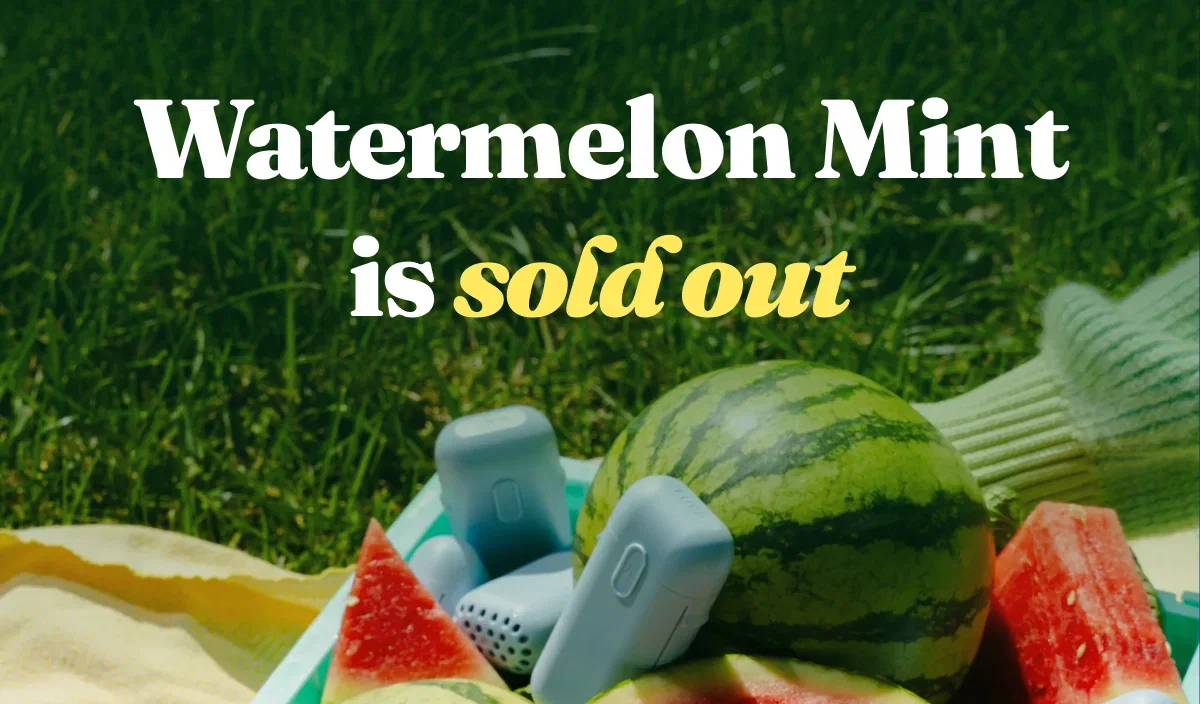 Watermelon Mint is sold out