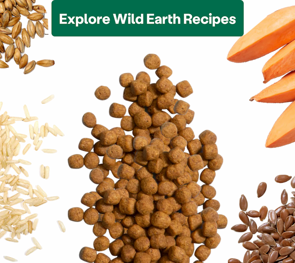 Explore Wild Earth Recipes