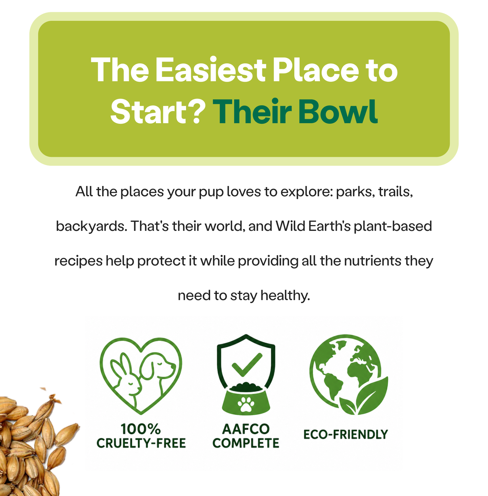The Easiest Place to Start? Their Bowl 