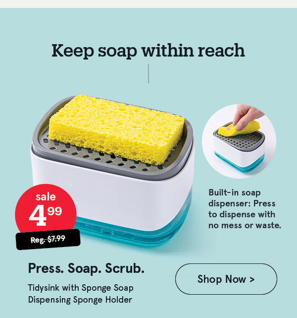 Tidysink with Sponge Soap Dispensing Sponge Holder