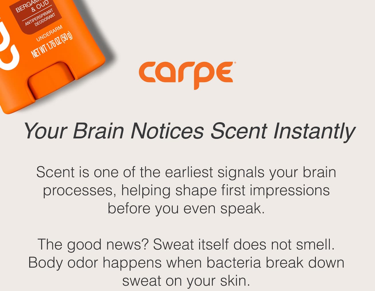 Your brain notices scent instantly 