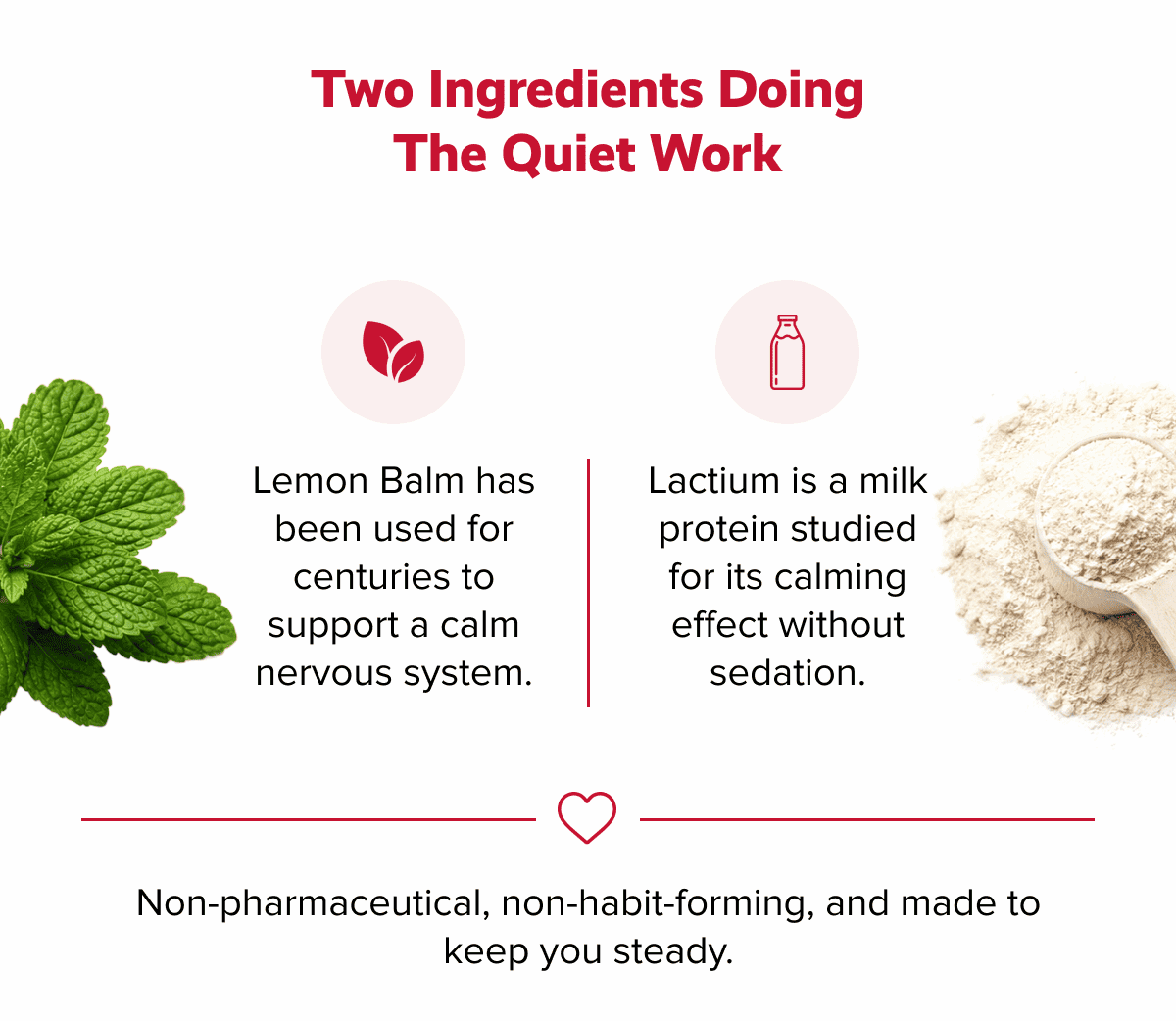 Two ingredients doing the quiet work | Lemon Balm has been used for centuries to support a calm nervous system. | Lactium is a milk protein studied for its calming effect without sedation. | Non-pharmaceutical, non-habit-forming, and made to keep you steady.