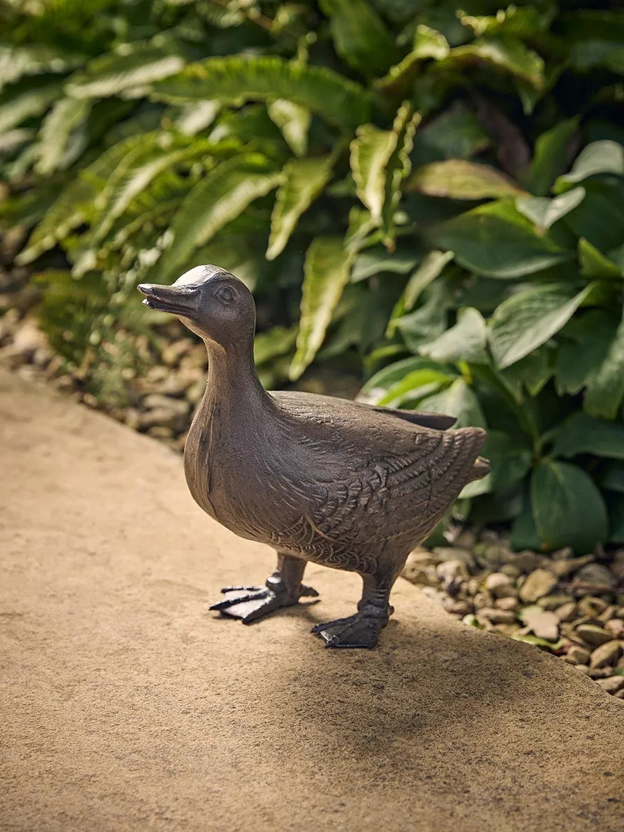 Dabbling Duck