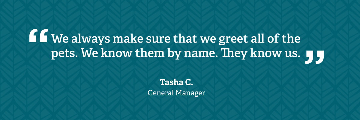 Quote from GM Tasha C. We always make sure that we greet all of the pets. We know them by name. They know us.