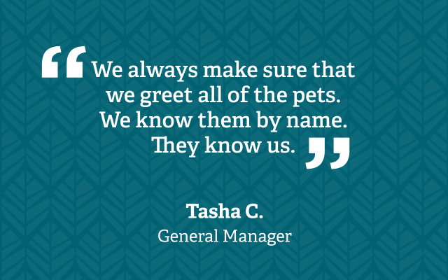 Quote from GM Tasha C. We always make sure that we greet all of the pets. We know them by name. They know us.