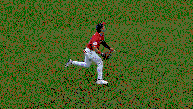 An animated gif of Steven Kwan making a diving catch
