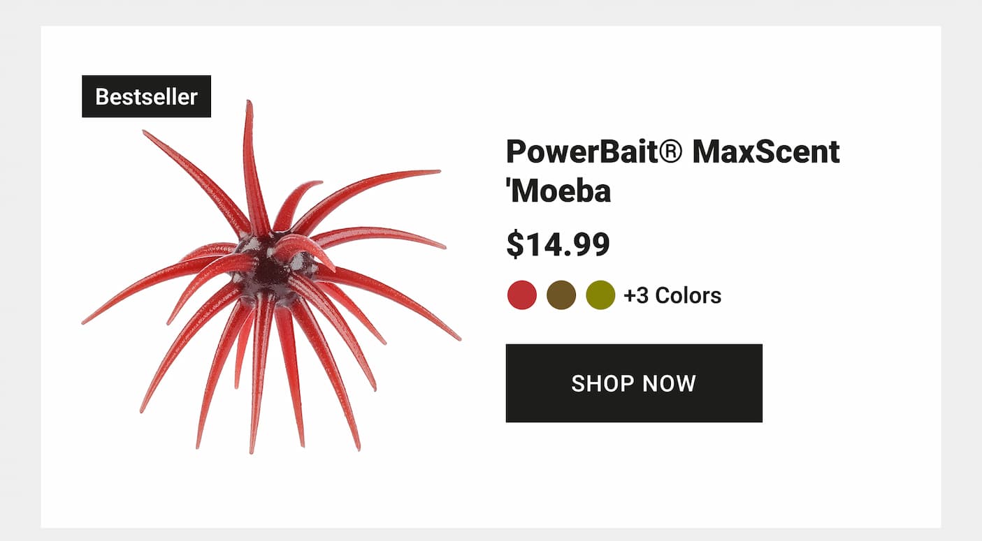 PowerBait MaxScent 'Moeba