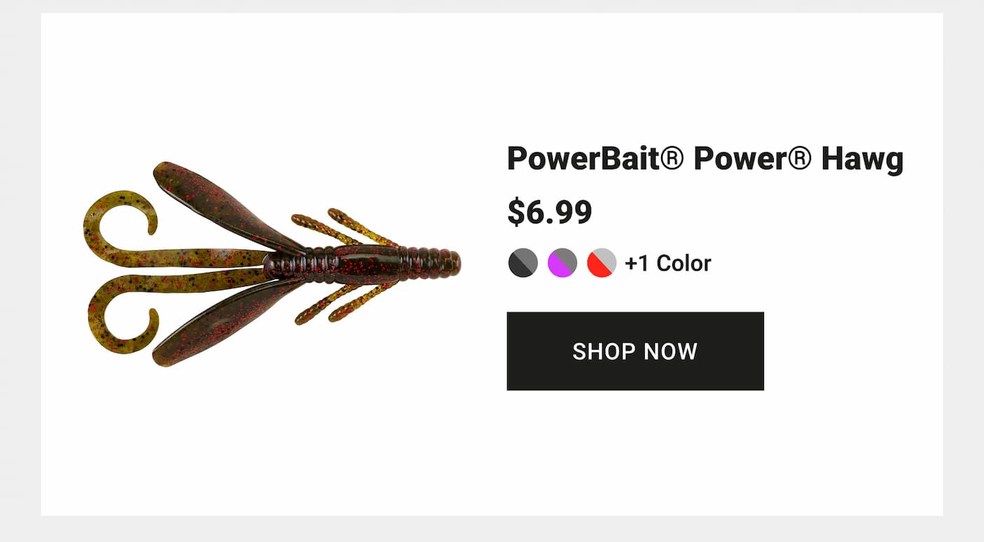PowerBait Power Hawg