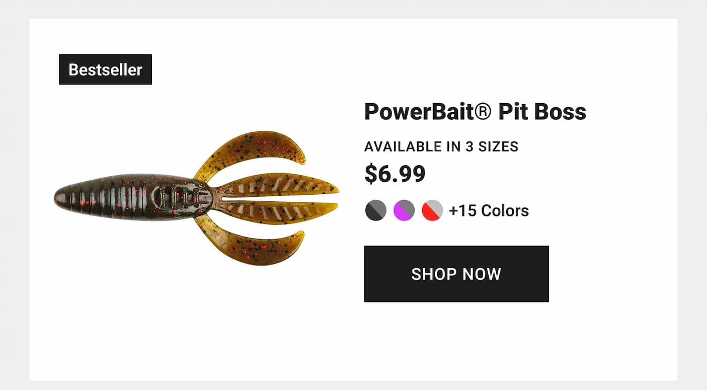 PowerBait Pit Boss 