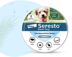 Seresto Collar Dog