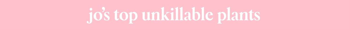 unkillable plants