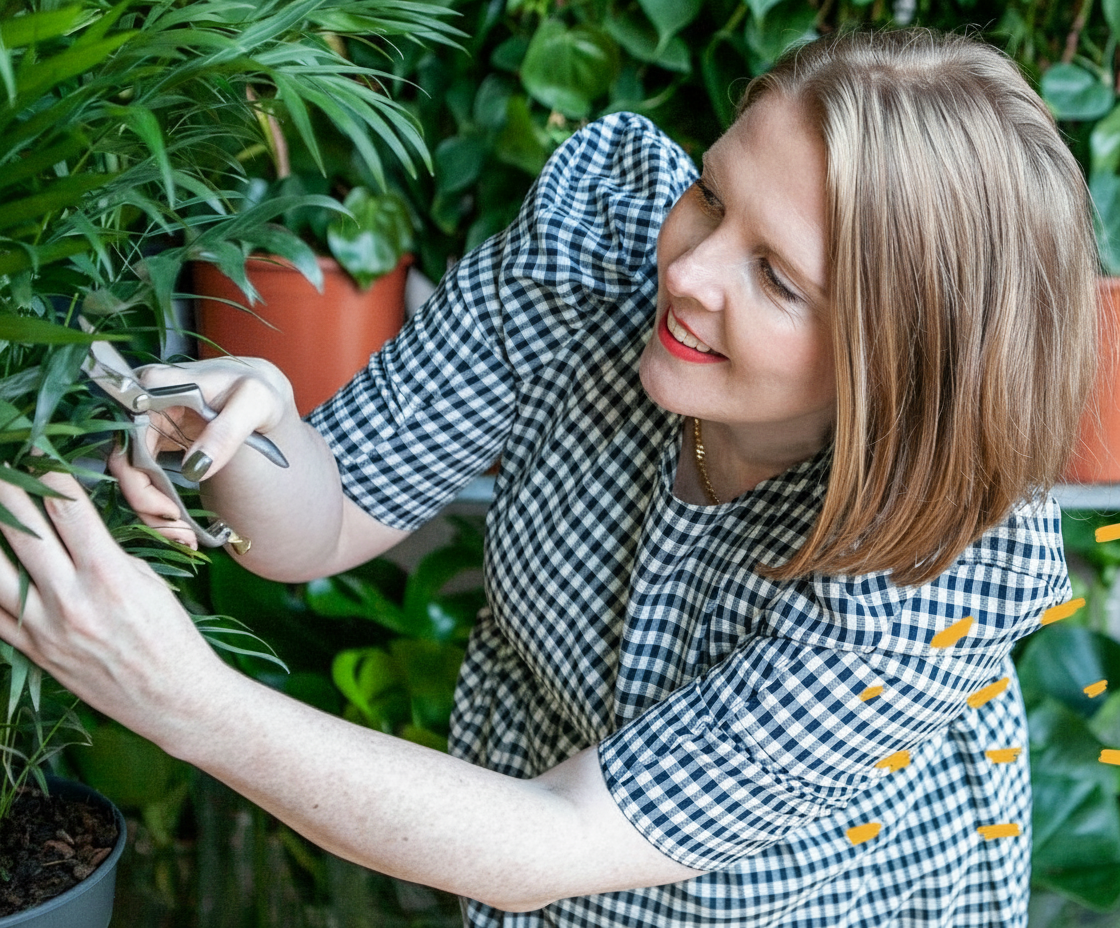 Woman in a checkered dress trims a houseplant with pruning shears.