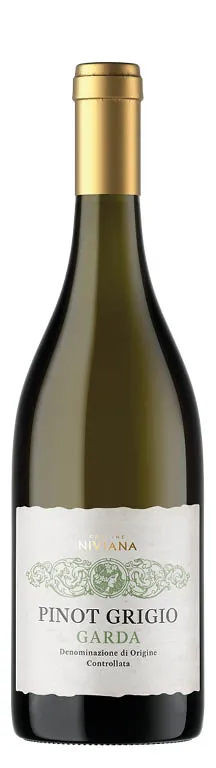 Garda DOC Pinot Grigio 2024 
