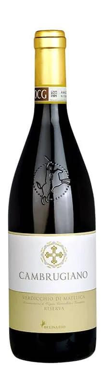 Verdicchio di Matelica Riserva DOCG Cambrugiano 2022 