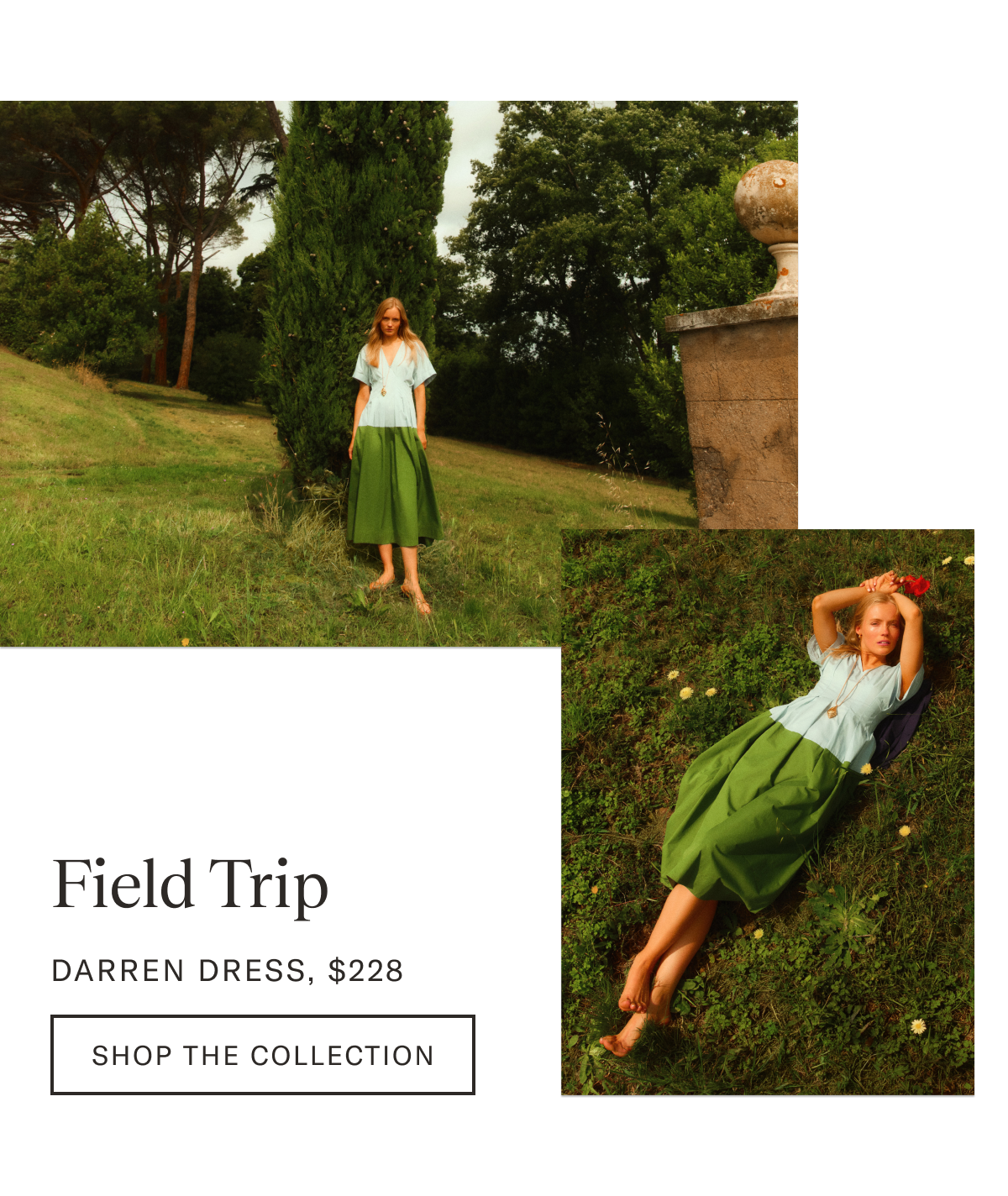 Field Trip