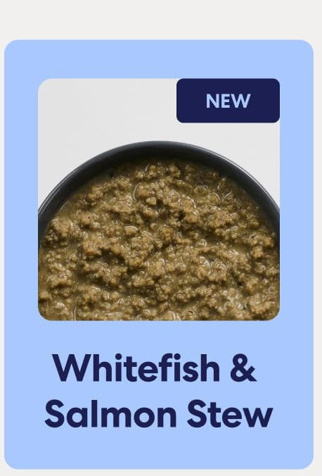Whitefish & Salmon Stew