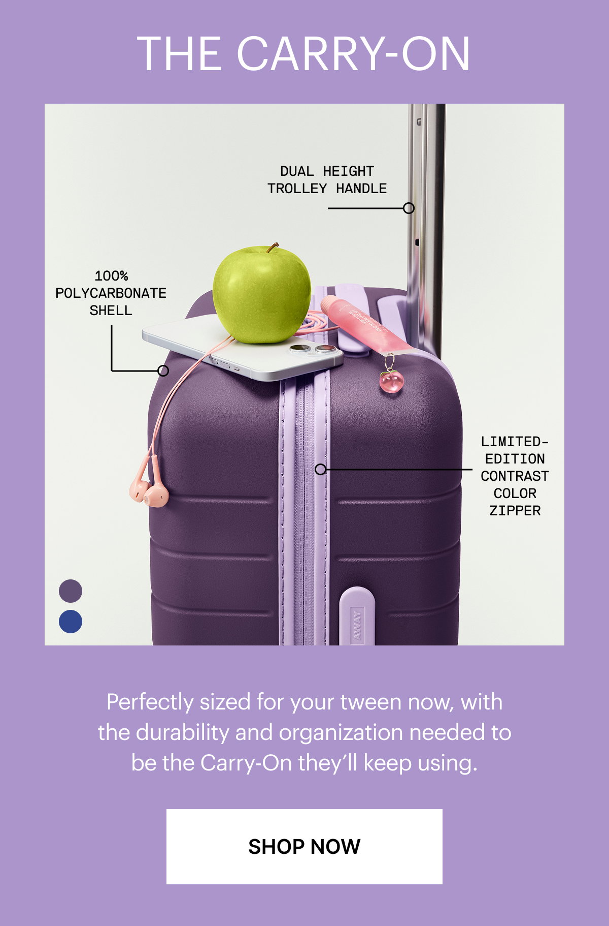 The Carry-On | From overhead bins to under the bed, this durable hardshell packs smart, stays organized, and always fits in. 