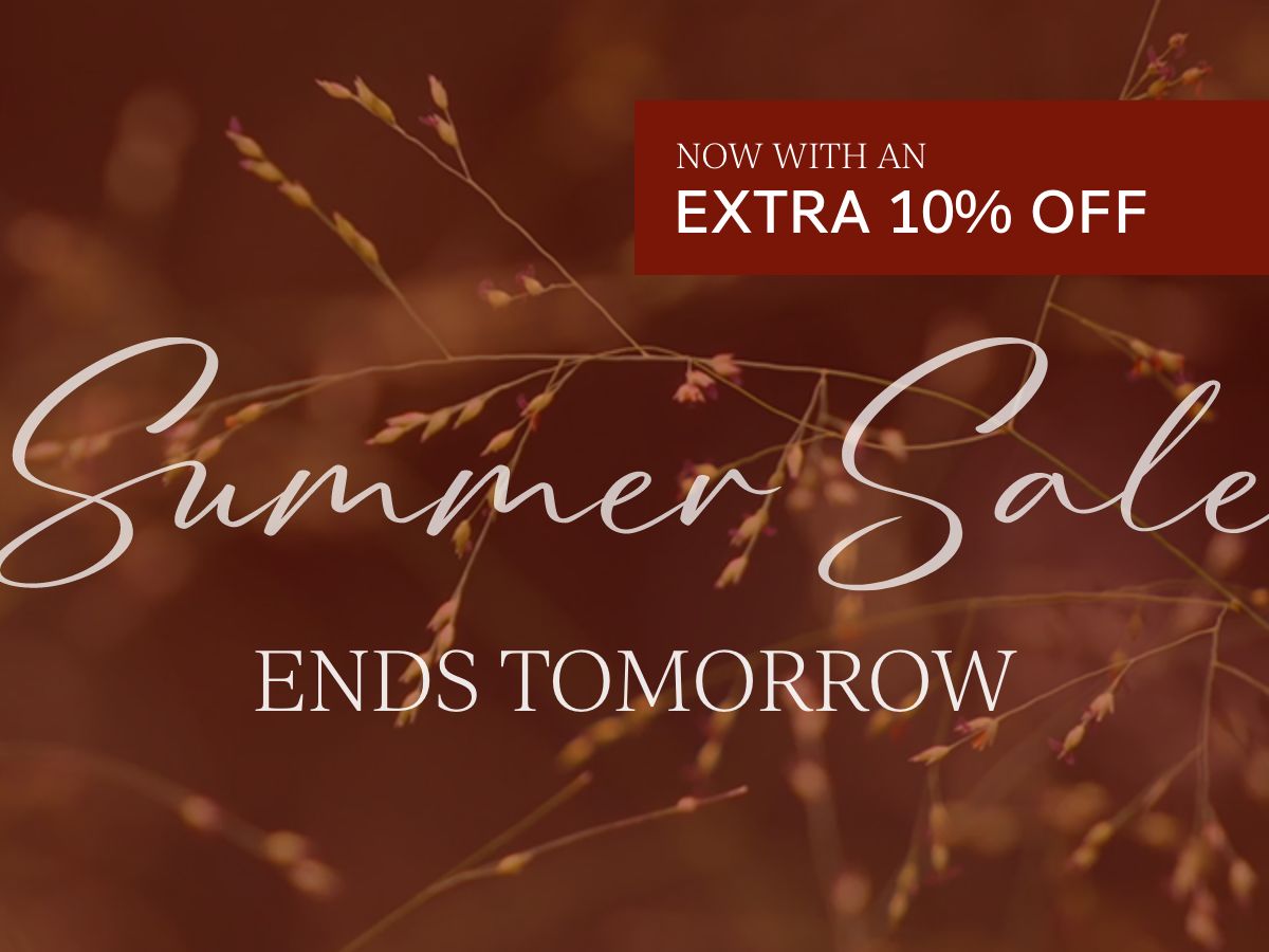 Summer Sale Up to 50% Off