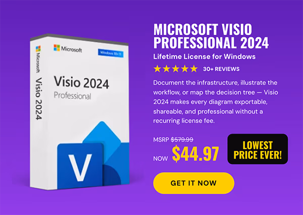 Microsoft Visio Professional 2024: Lifetime License for Windows